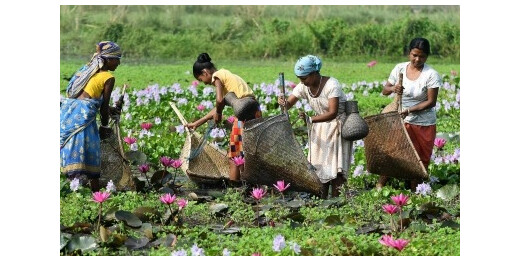 केंद्र ने असम-त्रिपुरा के कमजोर वर्गों के विकास के लिए 4,250 करोड़ रुपए के पैकेज को दी मंजूरी